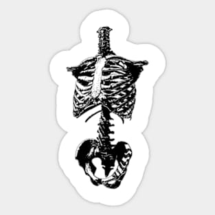 Skeleton Torso Sticker